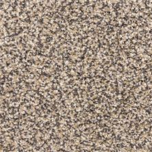 Dixie Home Star Power Yosemite D020-35234