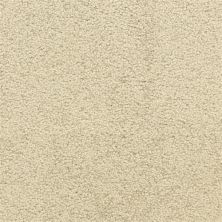 Dixie Home Star Power Summer House D020-61289