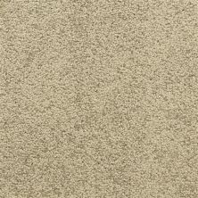 Dixie Home Star Power Smoke D020-61297