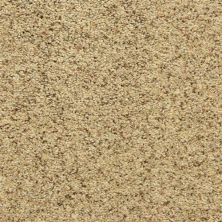 Dixie Home Star Power Oatmeal Raisin D020-80181