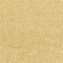 Dixie Home Maroon Bells Camelite D022-25190