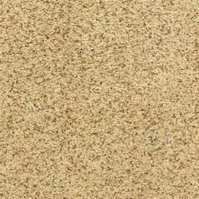 Dixie Home Maroon Bells Pebble Mosaic D022-30171