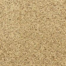 Dixie Home Maroon Bells Pepper Spice D022-30182