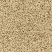 Dixie Home Maroon Bells Oatmeal Raisin D022-80181