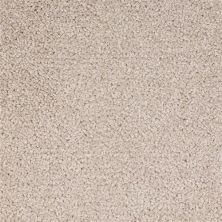 Dixie Home Spectrum Premier D030-23114