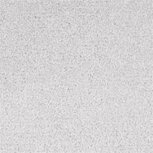 Dixie Home Spectrum Energy D030-80863