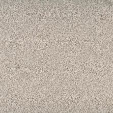 Dixie Home Suave Spice D042-26722