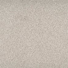 Dixie Home Suave Spring Garden D042-29259