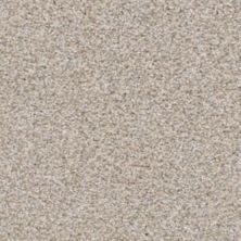 Dixie Home Top Dog Titanium D060-75745