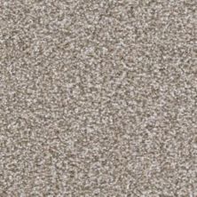 Dixie Home Top Dog Timber D060-87843