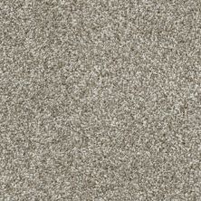Dixie Home Big Idea Shale D075-83806