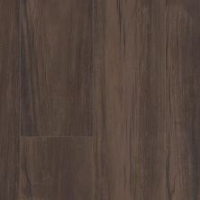 Dixie Home Trucor® 7 Series 7 Series in Darkside Maple P1037-D1333
