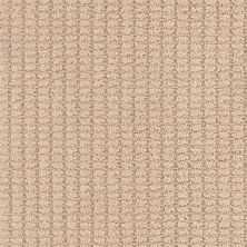 Masland Defined Nectar 9717-732