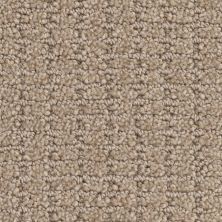 Masland Defined Portabello 9717-818