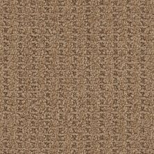 Masland Defined Rich Maple 9717-823
