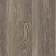 Trucor 9 Series Driftwood Oak P1058-D3104