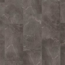 Dixie Home Trucor® Tile With Igt Tile with IGT Collection in Emperador Dark S1107-D9703