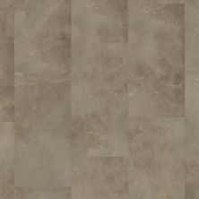 Dixie Home Trucor® Tile With Igt Tile with IGT Collection in Emperador Olive S1107-D9709