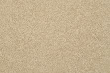 Dixie Home Alluring Suede G523225220