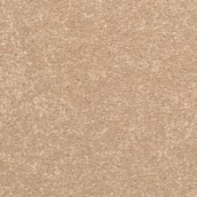 Dixie Home Inspiring Sandstone G523927333