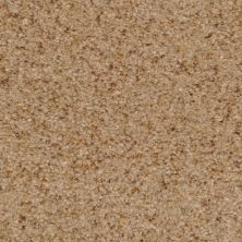 Dixie Home Chromatic Touch Sandstone G525736213