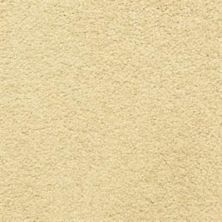 Dixie Home Cortana Courtly 5377-20209