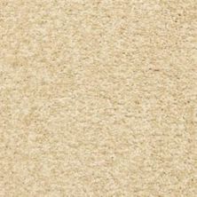 Dixie Home Colorworks Bermuda Sand 6865-10011
