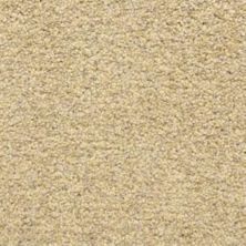 Dixie Home Colorworks Sand Storm 6865-20220