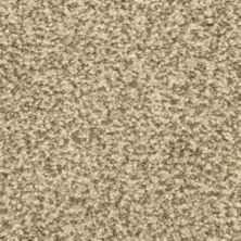 Dixie Home Colorworks Grey Scale 6865-80725