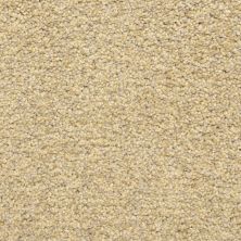 Dixie Home Sand Storm G528820220