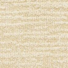 Dixie Home Expressions Sequin 6873-22059