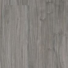 Trucor Alpha Collection Graphite Accacia P1031-D8008