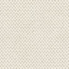 Masland La Parade Antique Lace 9716-719
