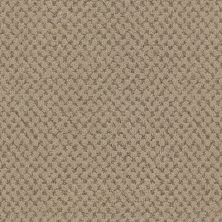 Masland La Parade Bistre 9716-755