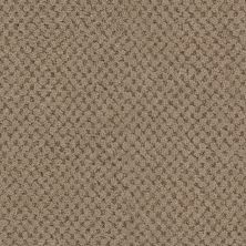 Masland La Parade Chocolat 9716-825