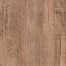 Trucor 7 Series Navajo Oak P1060-D2413