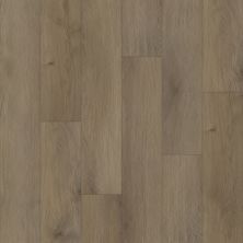 Trucor 5 Series English Oak P1054-DU510