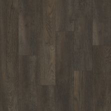 Trucor 5 Series Blackjack Oak P1055-DU409