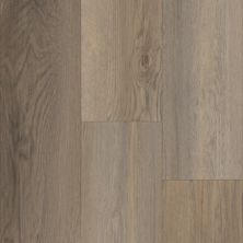 Trucor Prime Pinnacle Collection Falcon Oak P2244-M2501