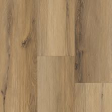 Trucor Prime Pinnacle Collection Rocca Oak P2244-M2502