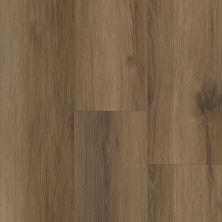 Trucor Prime Pinnacle Collection Bella Oak P2244-M2514