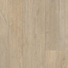 Trucor Prime Pinnacle Collection Dove Oak P2244-M2538