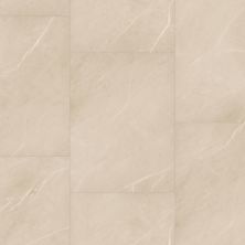 Trucor Tile With Igt Collection Pietra Crema S1108-D9209