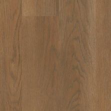 Trucor 5 Series Pueblo Oak P1062-D9121