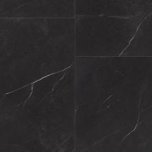 Trucor Tile With Igt Pietra Nero S1108-D9207