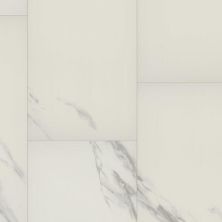 Trucor Tile Carrara Clay S1111-D3806