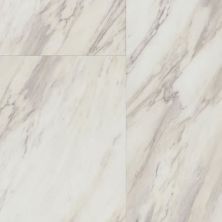 Trucor Tile Collection Carrara Taupe S1117-D1112