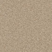 Masland Santa Rosa Driftwood 9713-821