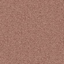 Masland Santa Rosa Fired Clay 9713-265
