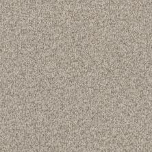 Masland Santa Rosa Weathered Deck 9713-829